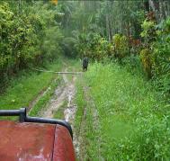 Door de jungle met een jeep om vrienden te zien.
