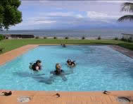 Scuba scursus in zwembad